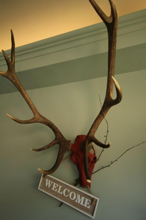 Hotel Restaurant Struemper Hof Meerbusch Kültér fotó